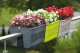 Form-Plastic Doniczka na balustradę, skrzynka balkonowa Wave 2488-042, Kolor Pistacja, Form-Plastik, Wymiary 29.5x28.5x20 cm 4