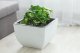 Form-Plastic Doniczka kwadratowa Muna 2733-059, Kolor Beton, Form-Plastik, Wymiary 29.5x29.5x22 cm 2