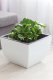 Form-Plastic Doniczka kwadratowa Muna 2733-059, Kolor Beton, Form-Plastik, Wymiary 29.5x29.5x22 cm 3