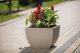 Form-Plastic Doniczka kwadratowa Muna 2733-059, Kolor Beton, Form-Plastik, Wymiary 29.5x29.5x22 cm 5