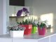 Prosperplast Doniczka kwadratowa COUBI DUKP100-426U, Kolor Grafit, Prosperplast, Wymiary 10x10x7.5 cm 3
