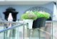 Prosperplast Doniczka na balustradę, skrzynka balkonowa LOFLY RAILING DLOFR400-S449, Kolor Biały, Prosperplast, Wymiary 40x27x25 cm 2