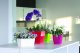 Prosperplast Doniczka kwadratowa COUBI DUKP155-CY728, Kolor Kremowy, Prosperplast, Wymiary 15.5x15.5x14 cm 1