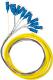 Qoltec Pigtail światłowodowy, 12x SC/APC, SM, G657A2, 2m (54362) 1