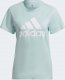 Adidas Koszulka adidas Big Logo Tee HL2027 1