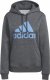 Adidas Bluza adidas Big Logo FL R HD IC9845 1