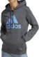 Adidas Bluza adidas Big Logo FL R HD IC9845 1