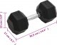 vidaXL vidaXL Hantel, 20 kg, żeliwo 6
