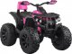 Jokomisiada Quad na akumulator dla dzieci 4x4 + pilot PA0268 4