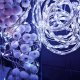 Lampki choinkowe Springos 10 LED białe zimne 4
