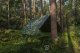 Plandeka Bradas Plandeka kamuflażowa moro CAMOforest 3 x 4m 90 g. 5