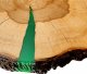 Wood & Resin Stolik z plastra drewna Żywica epoksydowa 51 cm x 55 cm x 4,5 cm Nogi 20 cm | Szlifowany, Lakierowany spód (matowy) PDOS_090225_Z04 6