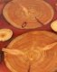 Wood & Resin Blat żywiczny z plastra drewna PDOB_104722_Z00 Żywica epoksydowa 69 cm x 92 cm x 3,5 cm | Szlifowany, Lakierowany spód (matowy), Brokat 4