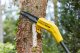 Piła łańcuchowa Stanley  SFMCPS620B-XJ 18 V 20 cm 1