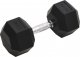 vidaXL Hantel, 22,5 kg, żeliwo 1