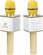 Mikrofon Technaxx MusicMan Karaoke (BT-X31GOLD) 2