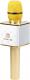 Mikrofon Technaxx MusicMan Karaoke (BT-X31GOLD) 1