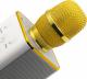 Mikrofon Technaxx MusicMan Karaoke (BT-X31GOLD) 8