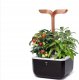 Veritable Veritable Doniczka Exky Smart Black&Copper 1