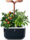 Veritable Veritable Doniczka Exky Smart Black&Copper 2