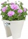 Elho Pojemnik balkonowy ELHO Corsica Flower Bridge 30 - bialy - na zewnatrz i balkon - dl. 29,6 x szer. 29,6 x wys. 24 cm 1