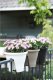 Elho Pojemnik balkonowy ELHO Corsica Flower Bridge 30 - bialy - na zewnatrz i balkon - dl. 29,6 x szer. 29,6 x wys. 24 cm 3