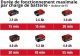 Einhell Kosa spalinowa AGILLO 18/100 + Zestaw startowy 5,2 Ah - Power X-Change 6