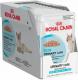 Royal Canin PAKIET sos 12x85g URINARY CARE 1