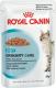 Royal Canin PAKIET sos 12x85g URINARY CARE 1