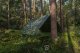 Plandeka Bradas Plandeka kamuflażowa moro CAMOforest 5 x 6m 90 g. 3