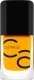 Catrice Lakier do paznokci Catrice Iconails 129-bee mine (10,5 ml) 1