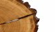 Wood & Resin Stolik z plastra drewna Żywica epoksydowa 42 cm x 61 cm x 6 cm Nogi 40 cm | Szlifowany, Lakierowany spód (matowy) PDOS_111255_Z02 5