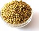 Saporum Kolendra 50g Indie 1
