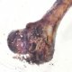 Petmex Gryzak dla psów PETMEX Kość szynkowa 1szt 3