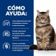 Hills  HILL'S PD FELINE GI BIOME 3 KG 2