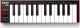 Akai AKAI LPK 25 MKII - Mini klawiatura sterująca USB/MIDI 1