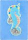 Starpak NOTES PLUSZ A5 SEAHORSE STK PBH 6/36 1