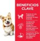 Hills  HILL'S SP CANINE ADULT SMALL & MINI CHICKEN 6 KG 3