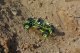 WL Toys WLTOYS 12428 SAMOCHÓD UPGRADE METAL AUTO CRAWLER 3