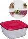 Plast Team Pojemnik do lodówki zamrażarki POLAR BOX 2,5L 1