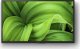 Telewizor Sony KD32W800P LED 32'' HD Ready Android 6