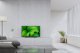 Telewizor Sony KD32W800P LED 32'' HD Ready Android 8