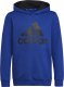 Adidas Bluza adidas Big Logo Essentials Hoody HN1912 1