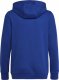 Adidas Bluza adidas Big Logo Essentials Hoody HN1912 1