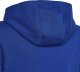Adidas Bluza adidas Big Logo Essentials Hoody HN1912 2
