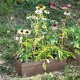 Deroma Donica DEROMA z rezerwa wody Ninfea R Camel - 40 cm 1