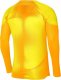 Nike Bluza Nike Gardien IV Goalkeeper JSY DH7967 719 1