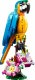 LEGO Creator Egzotyczna papuga (31136) 7