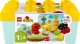 LEGO Duplo Ogród uprawowy (10984) 1