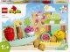 LEGO Duplo Ryneczek bio (10983) 1